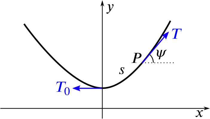 Graph showing the curve of the rope with a force T_0 being applied leftwards at the bottom of the curve, and a force T being applied upwards and to the right, along the rope, at the point P.