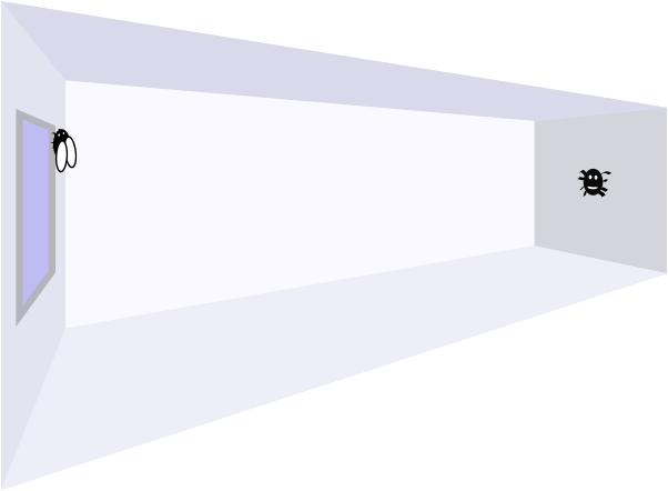 Room with dimensions as described with spider opposite fly